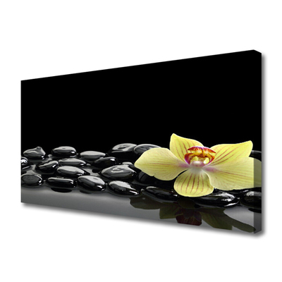 Canvas Wall art Flower stones kitchen yellow black