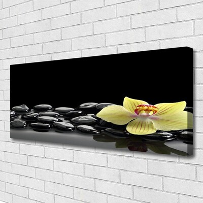 Canvas Wall art Flower stones kitchen yellow black