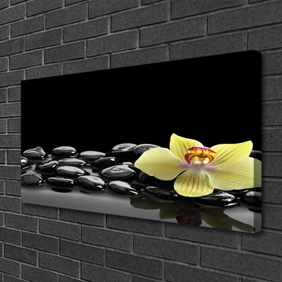 Canvas Wall art Flower stones kitchen yellow black