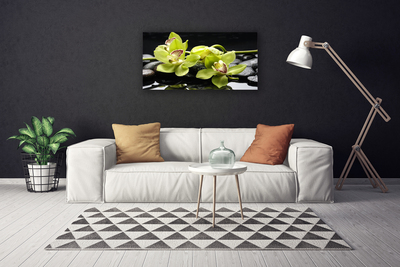 Canvas Wall art Flower stones floral green black