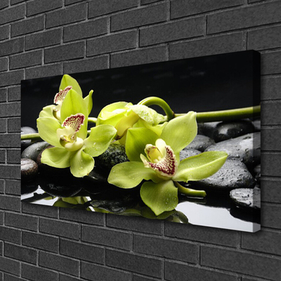 Canvas Wall art Flower stones floral green black