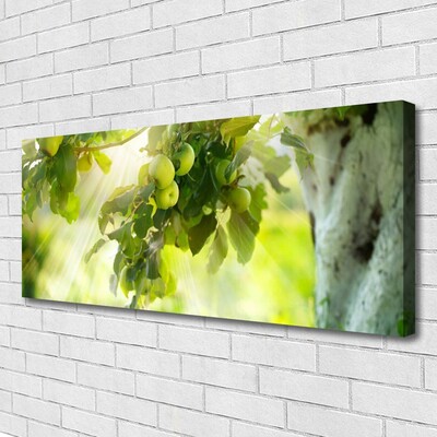 Canvas Wall art Branch of apples kitchen green brown