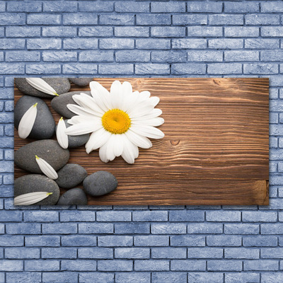 Canvas Wall art Daisy stones floral yellow white grey