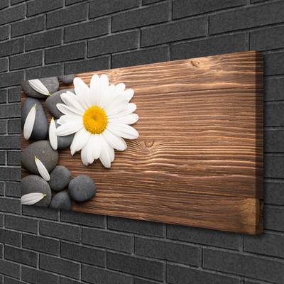 Canvas Wall art Daisy stones floral yellow white grey