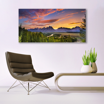 Canvas Wall art Mountain forest nature grey green