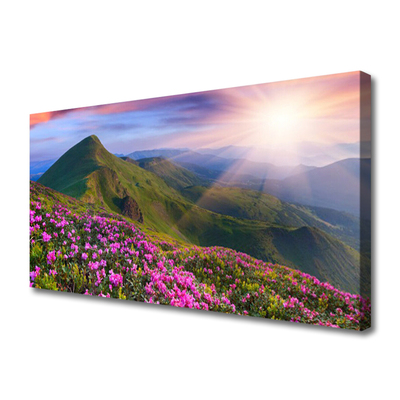 Canvas Wall art Mountains meadow flowers landscape blue green pink