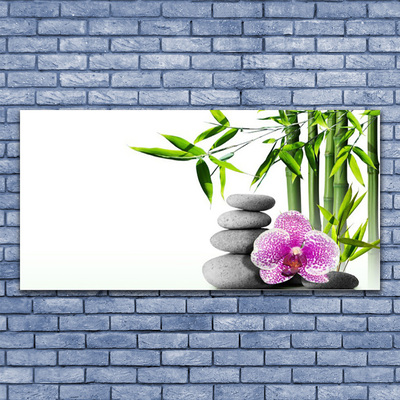 Canvas Wall art Bamboo cane flower stones floral green pink grey