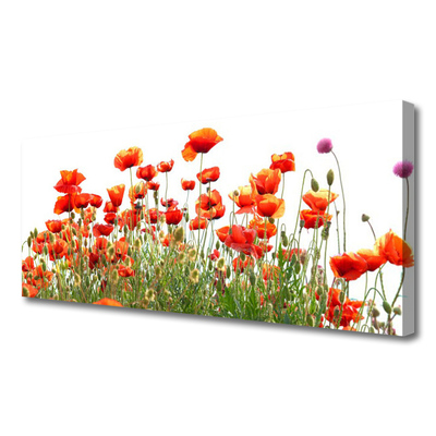 Canvas Wall art Poppies nature red