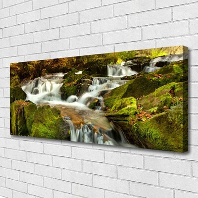 Canvas Wall art Waterfall rocks nature white green