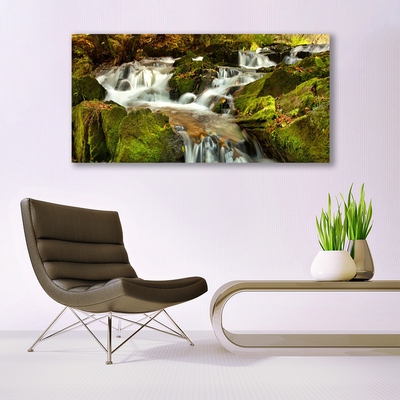 Canvas Wall art Waterfall rocks nature white green