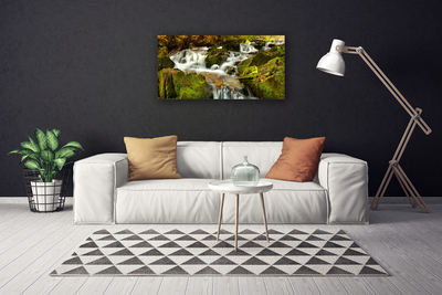 Canvas Wall art Waterfall rocks nature white green