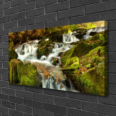 Canvas Wall art Waterfall rocks nature white green