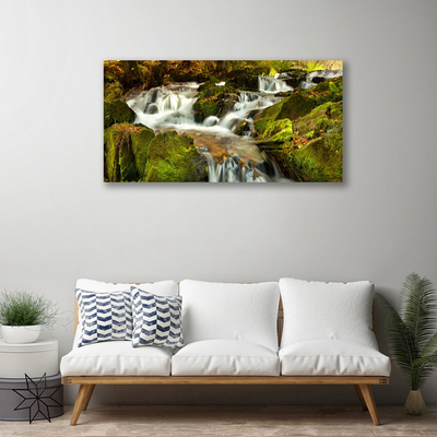 Canvas Wall art Waterfall rocks nature white green