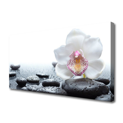 Canvas Wall art Flower stones art white black