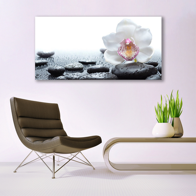 Canvas Wall art Flower stones art white black