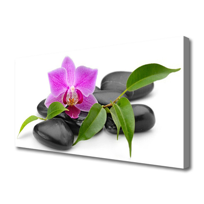 Canvas Wall art Flower stones art pink black