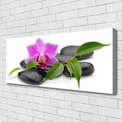 Canvas Wall art Flower stones art pink black