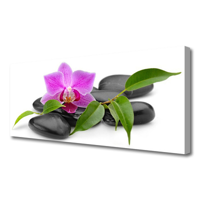 Canvas Wall art Flower stones art pink black