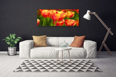 Canvas Wall art Tulips floral yellow red