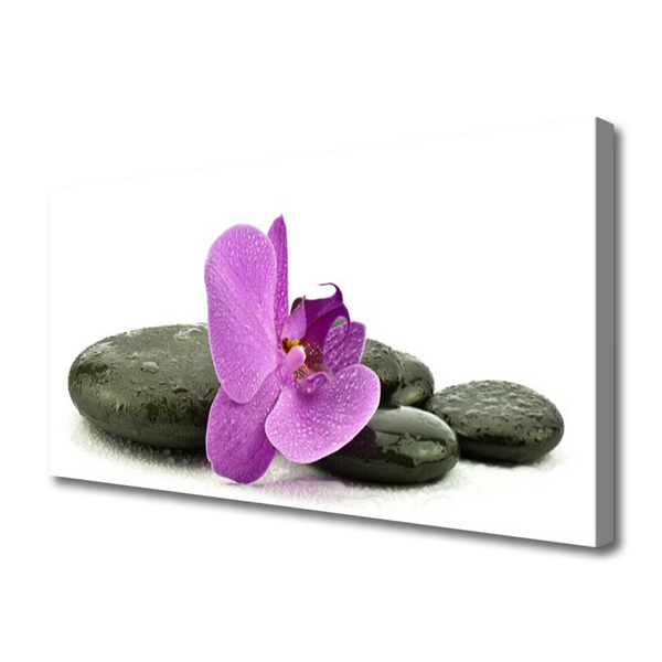 Canvas Wall art Flower stones art pink black