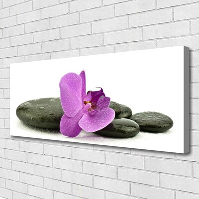 Canvas Wall art Flower stones art pink black