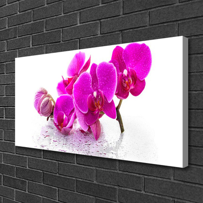 Canvas Wall art Flowers floral pink