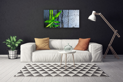 Canvas Wall art Bamboo stalks floral green