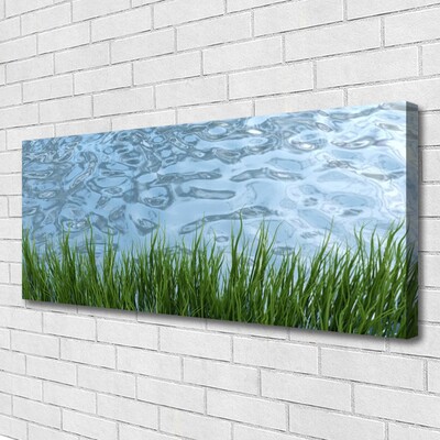 Canvas Wall art Grass water nature green blue