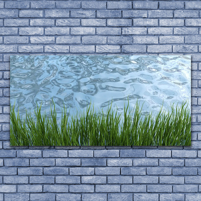 Canvas Wall art Grass water nature green blue