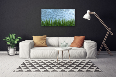 Canvas Wall art Grass water nature green blue