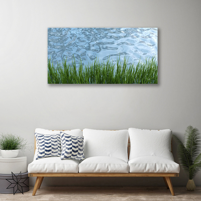 Canvas Wall art Grass water nature green blue