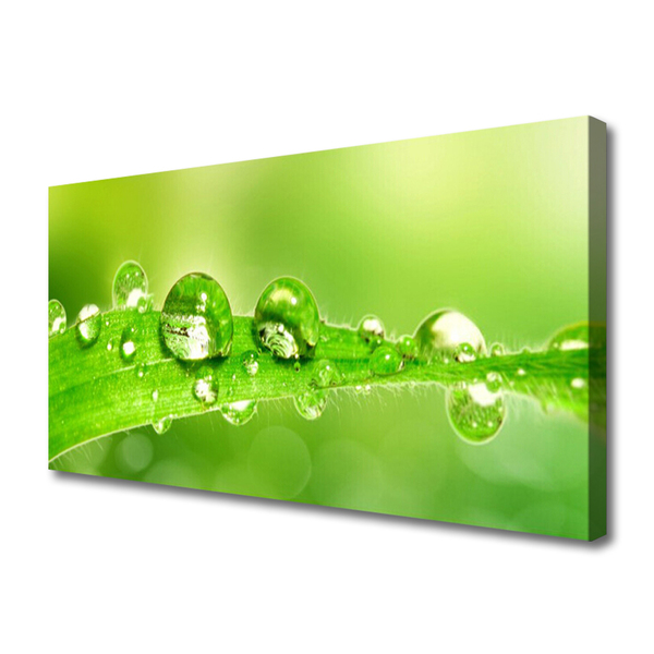 Canvas Wall art Leaf dewdrops floral green