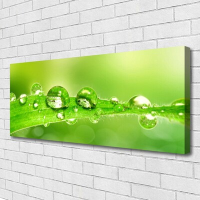 Canvas Wall art Leaf dewdrops floral green