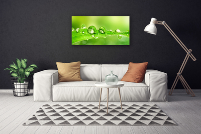 Canvas Wall art Leaf dewdrops floral green