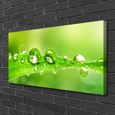 Canvas Wall art Leaf dewdrops floral green