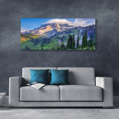 Canvas Wall art Mountain forest landscape grey green