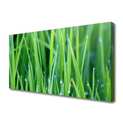 Canvas Wall art Weed nature green