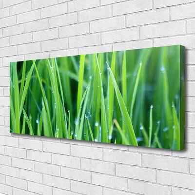 Canvas Wall art Weed nature green