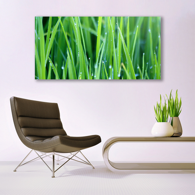 Canvas Wall art Weed nature green