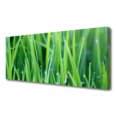 Canvas Wall art Weed nature green