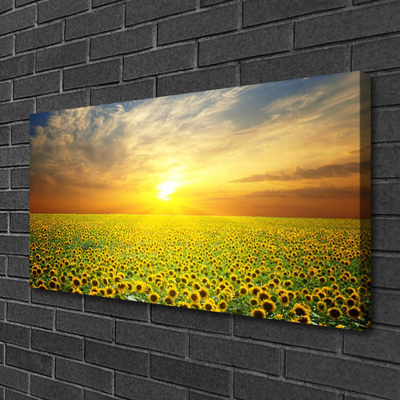 Canvas Wall art Sun meadow sunflowers nature yellow brown green