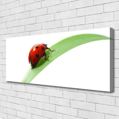 Canvas Wall art Ladybird beetle nature green red black