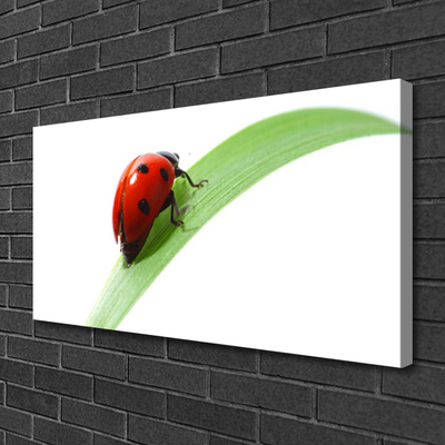 Canvas Wall art Ladybird beetle nature green red black
