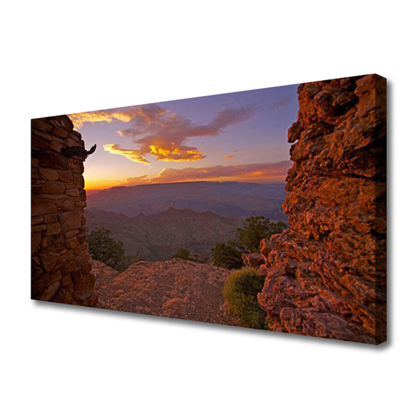 Canvas Wall art Rock landscape brown