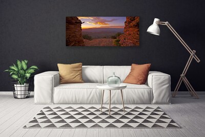 Canvas Wall art Rock landscape brown