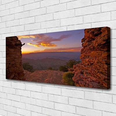 Canvas Wall art Rock landscape brown