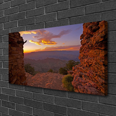 Canvas Wall art Rock landscape brown