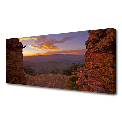 Canvas Wall art Rock landscape brown