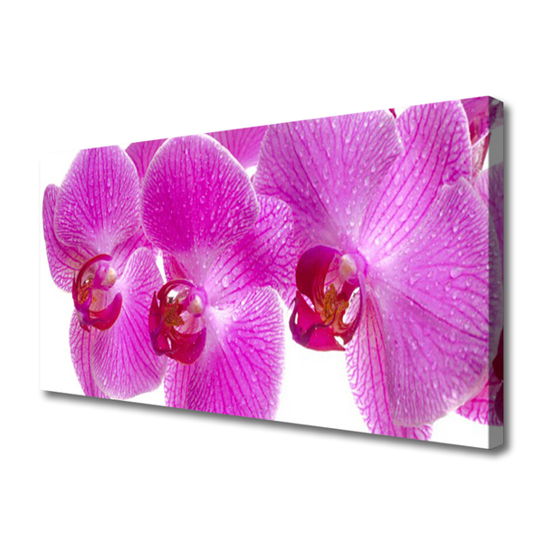 Canvas Wall art Flowers floral pink