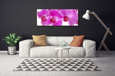 Canvas Wall art Flowers floral pink